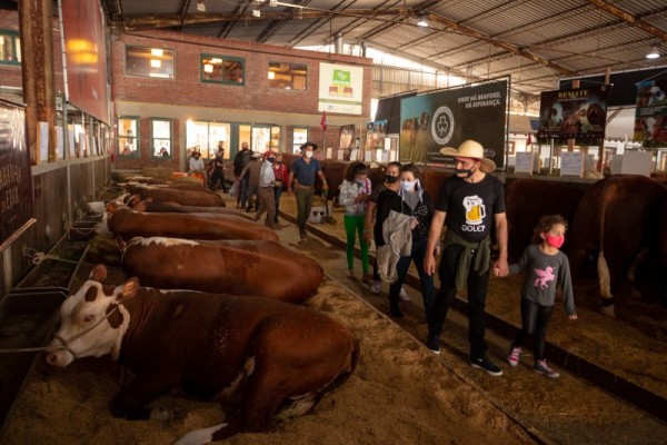 Evento ocorre até o dia 12 de setembro 