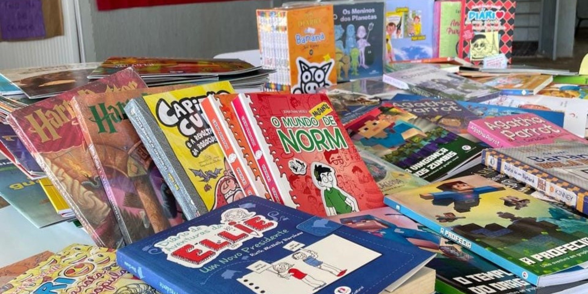 Muçum amplia acervo de escolas e biblioteca com mais de 600 novos livros