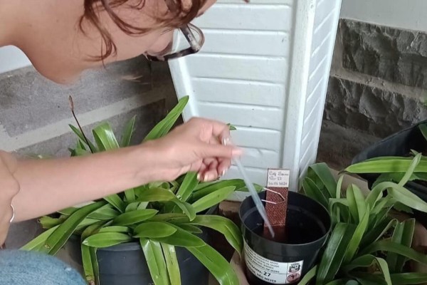 Coqueiro Baixo desenvolve trabalhos de prevenção a Dengue