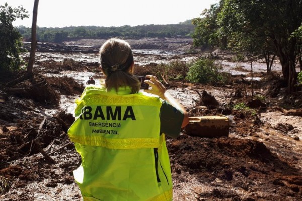Em 2019, foram cerca de 9.700 autuações