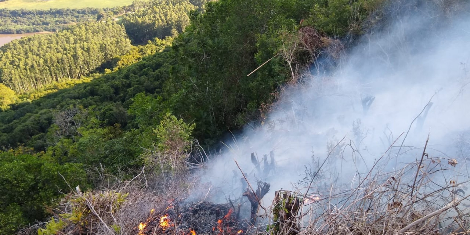 Focos de incêndio vem sendo percebidos desde domingo