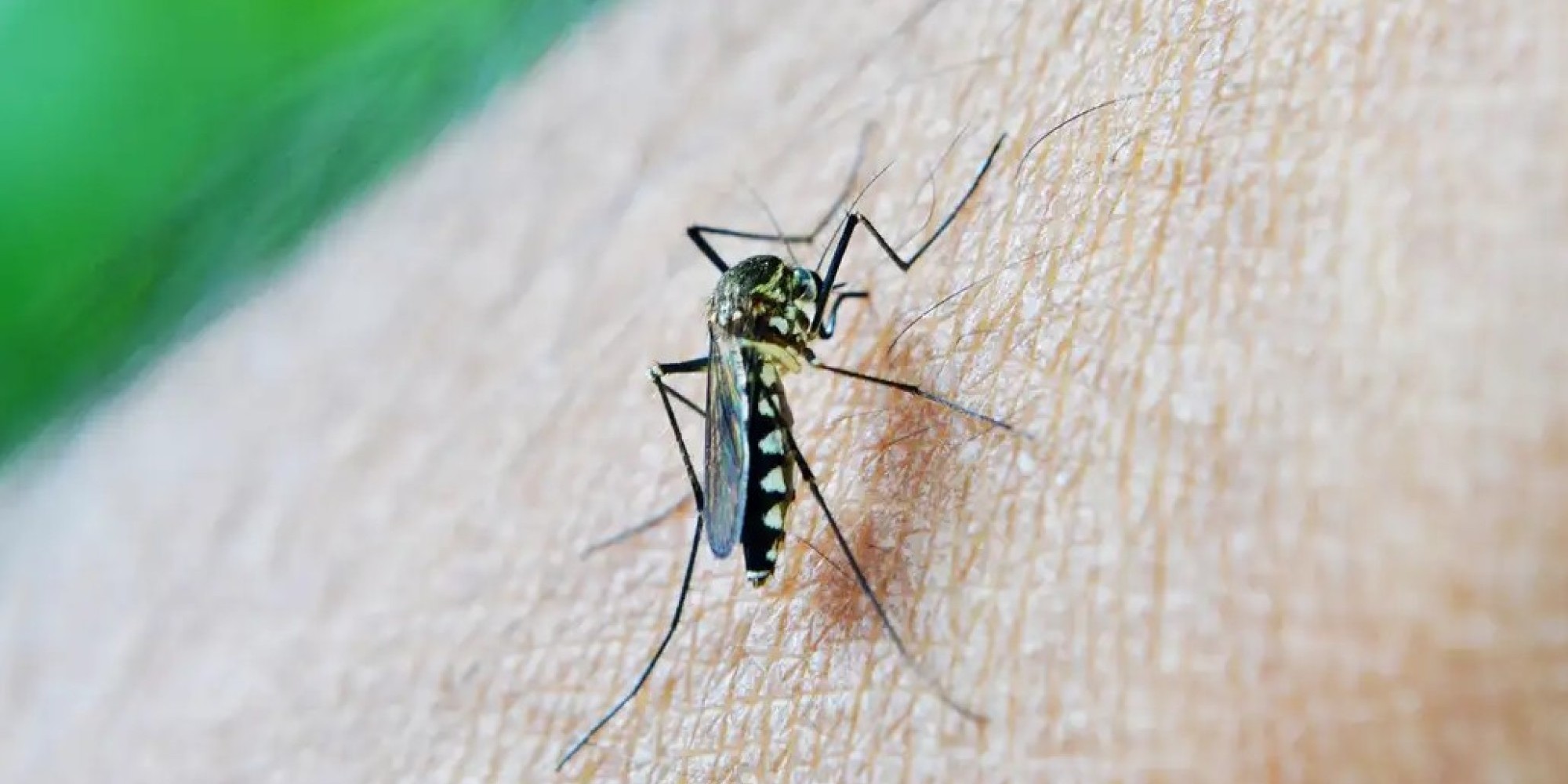 RS registra queda de 81,8% nos casos de dengue em 2025