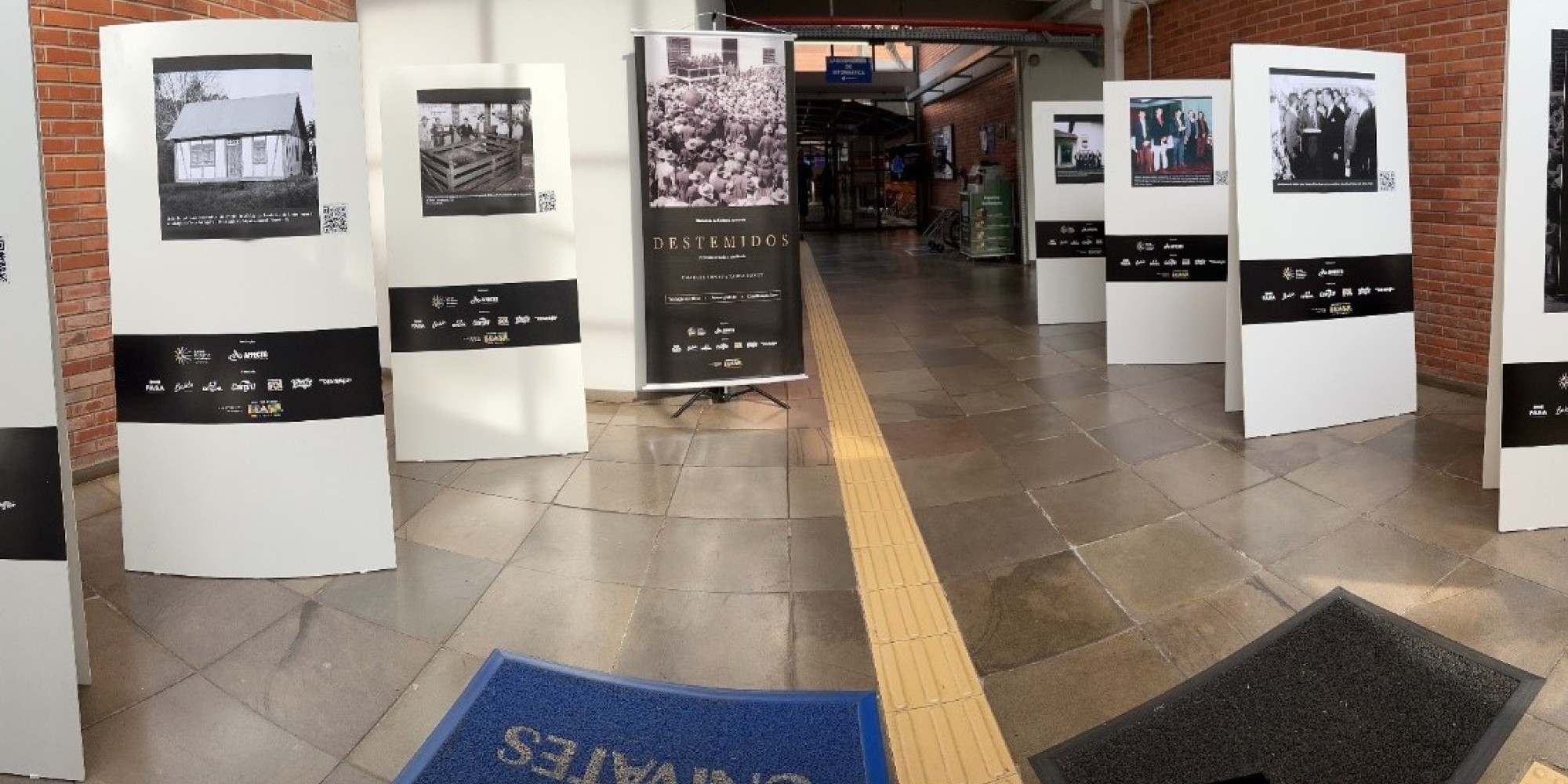 Casa de Cultura recebe exposição Destemidos, da Dália Alimentos