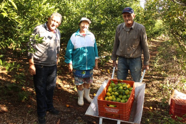 Família Grassi produz o fruto a mais de 40 anos