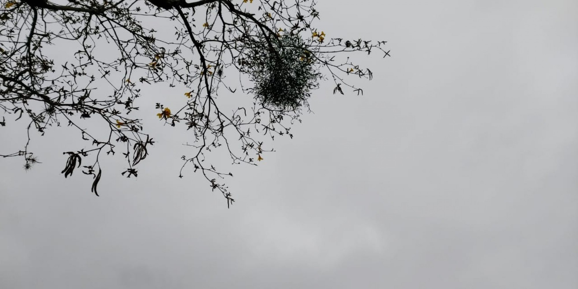 Na Região temperaturas ficam agradáveis Na Região temperaturas ficam agradáveis