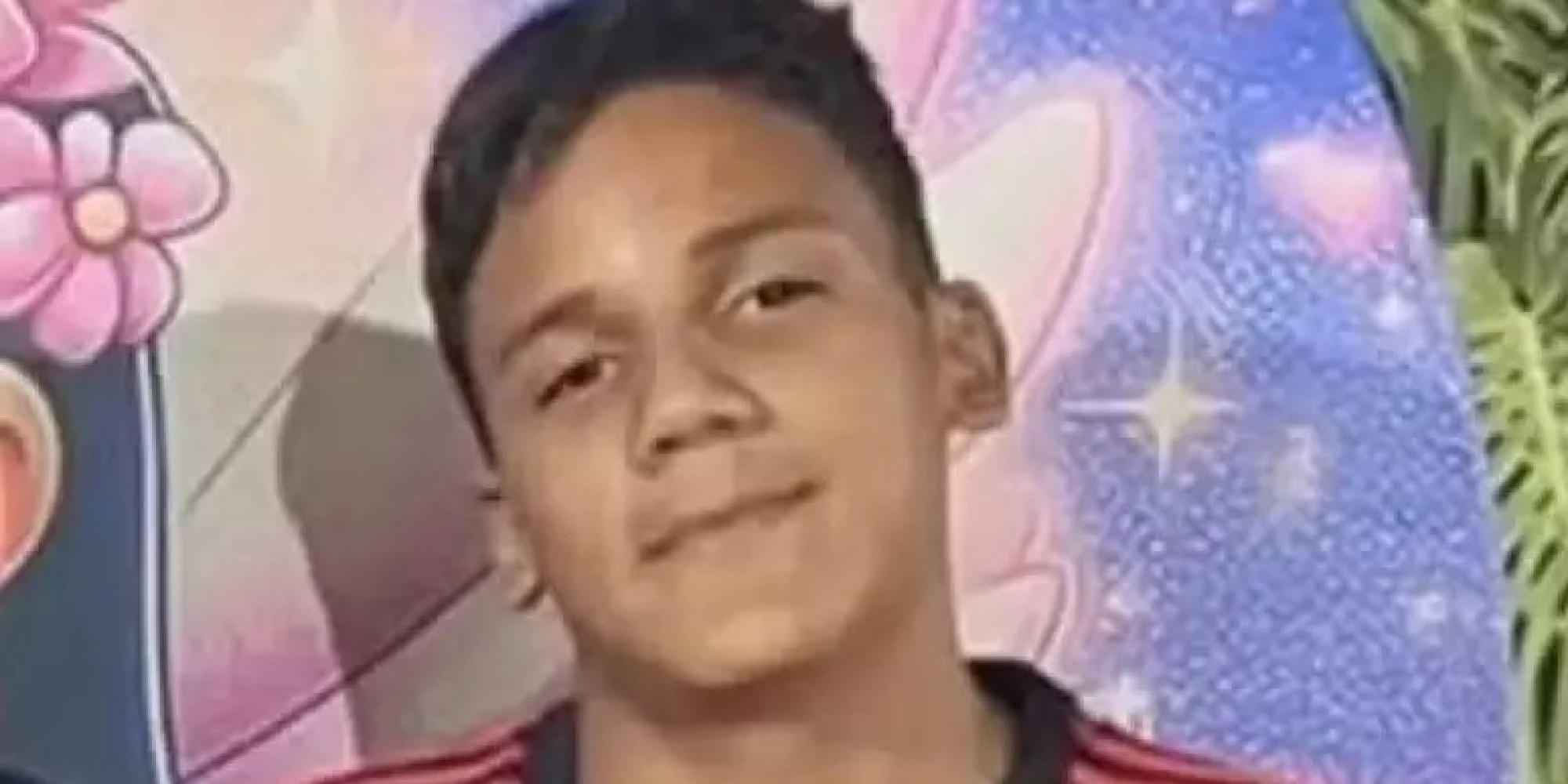 Jovem de 14 anos é atacado por abelhas e está em coma