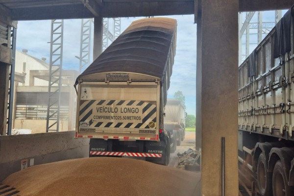Estatal comprou o cereal de produtores gaúchos, num investimento de R$ 11,78 milhões