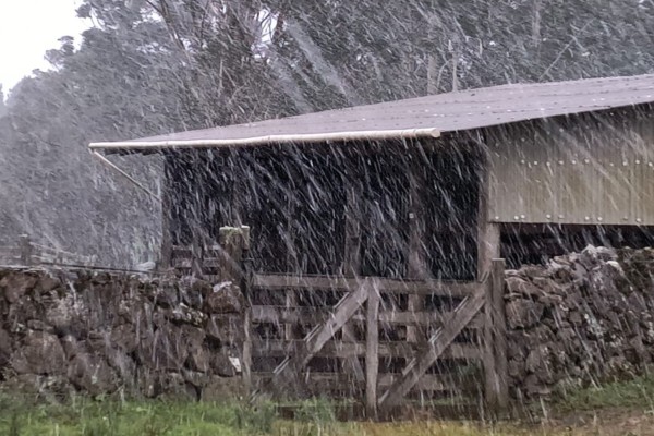 São José dos Ausentes, São Francisco de Paula e Bom Jesus registram primeiros flocos de 2025 com temperaturas próximas de 0°C