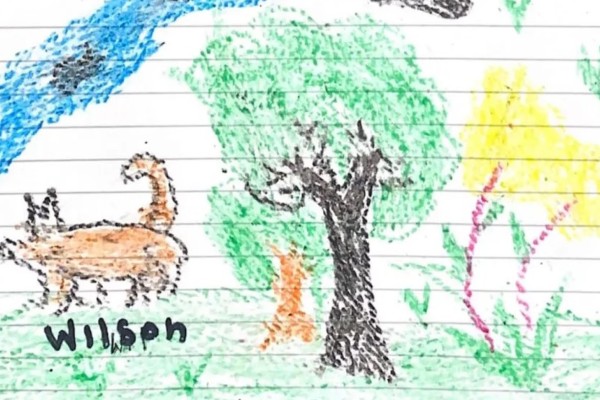 Cão Wilson que desapareceu nas buscas, é desenhado por crianças resgatadas na Colômbia 