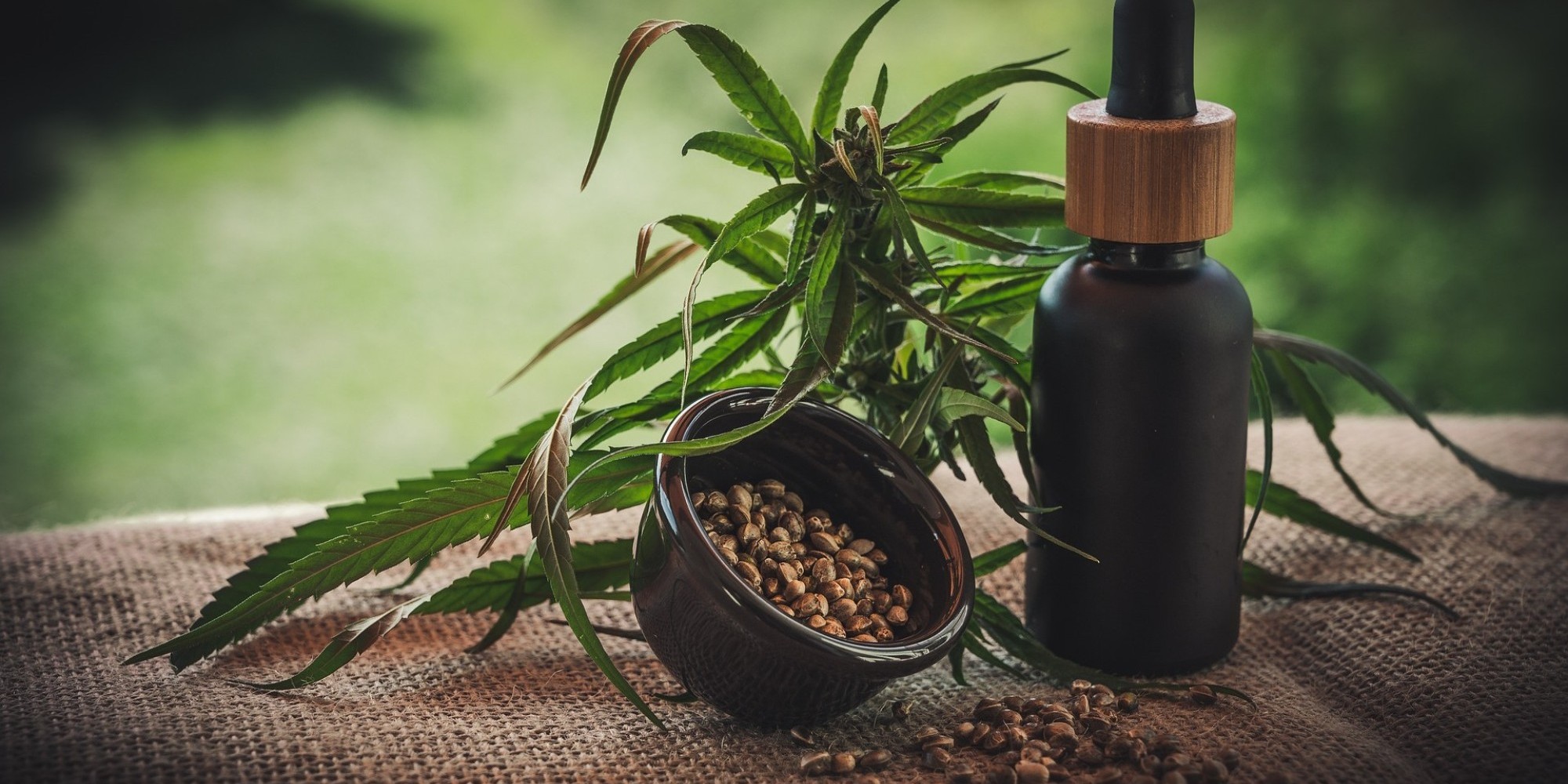 Produtos à base de cannabis cresce 342,3% de vendas nas farmácias do Brasil 