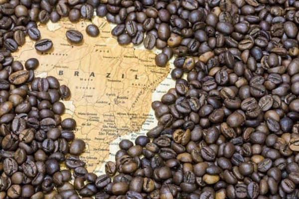 Em 2019, as exportações de cafés brasileiros foram 13,9% maiores que em 2018