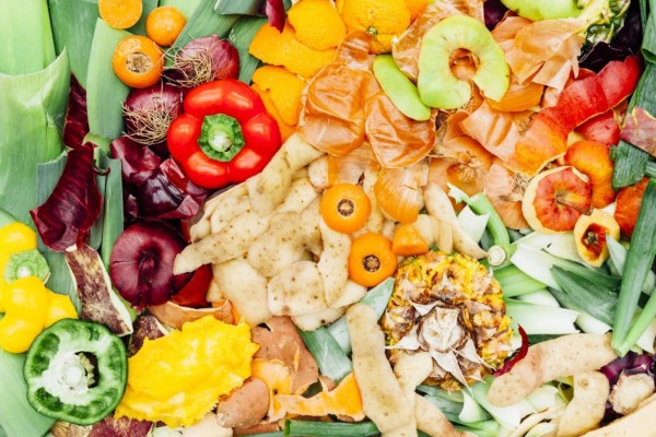 Fortalecer a rede de bancos de alimentos, como as centrais de abastecimento, conhecidas como Ceasas, foi uma das soluções apresentadas pela Embrapa